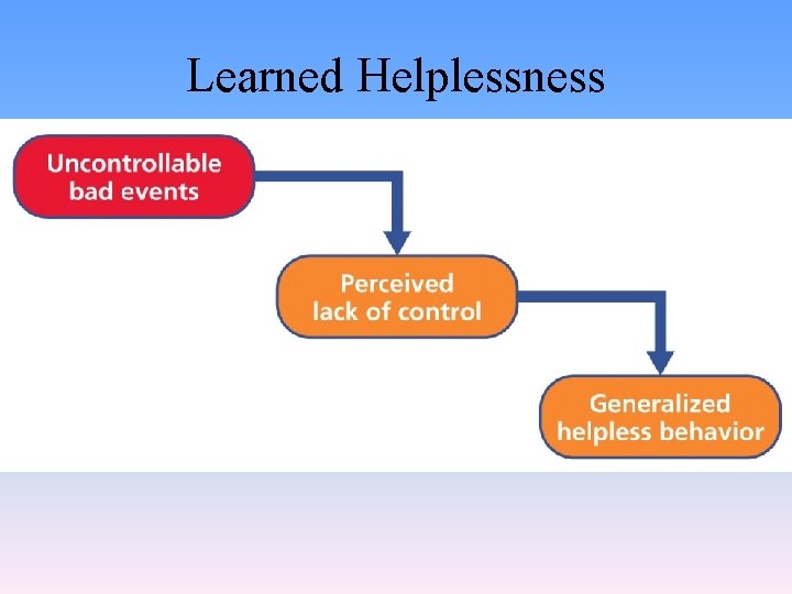 Learned Helplessness 
