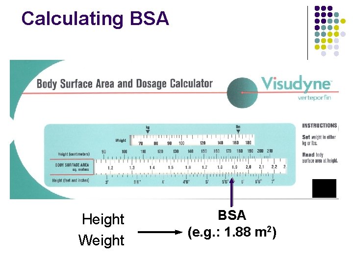 Calculating BSA Height Weight BSA (e. g. : 1. 88 m 2) Calculating BSA Height Weight BSA (e. g. : 1. 88 m 2)