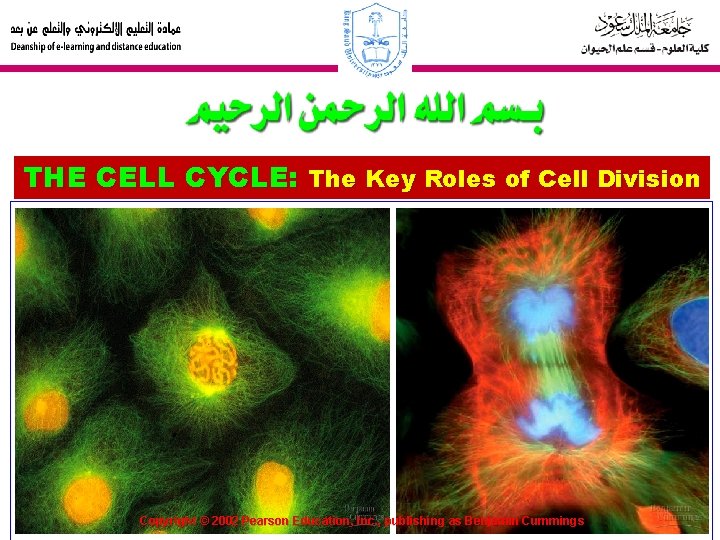 THE CELL CYCLE: The Key Roles of Cell Division 2 Copyright © 2002 Pearson