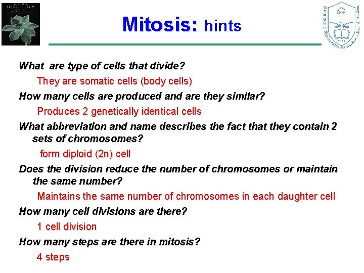 Mitosis: hints What are type of cells that divide? They are somatic cells (body