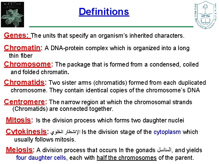 Definitions Genes: The units that specify an organism’s inherited characters. Chromatin: A DNA-protein complex