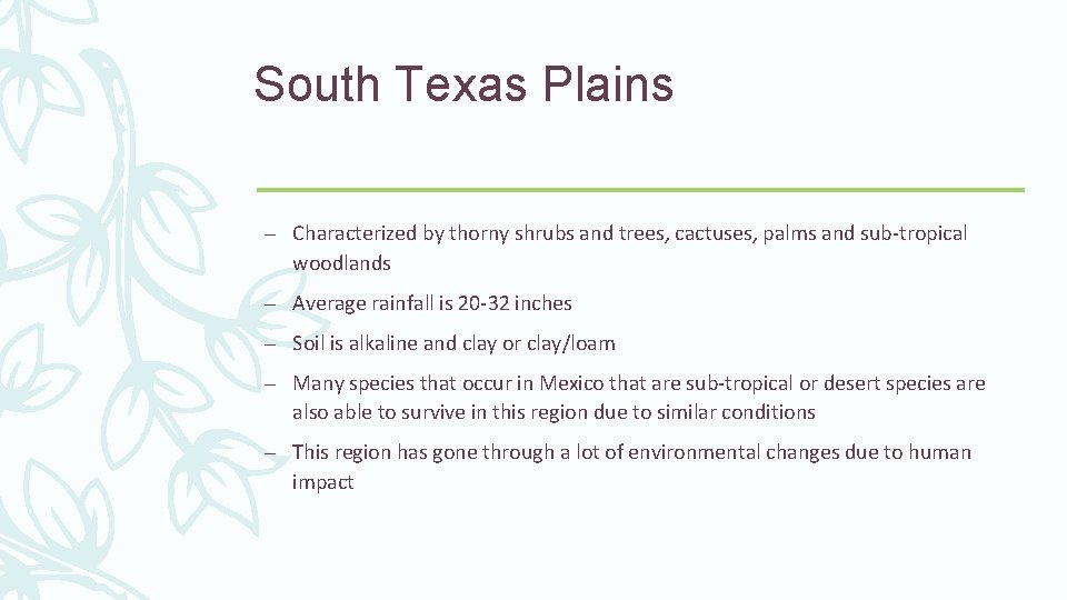 South Texas Plains – Characterized by thorny shrubs and trees, cactuses, palms and sub-tropical