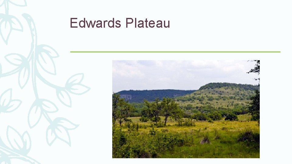 Edwards Plateau 