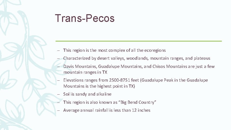 Trans-Pecos – This region is the most complex of all the ecoregions – Characterized