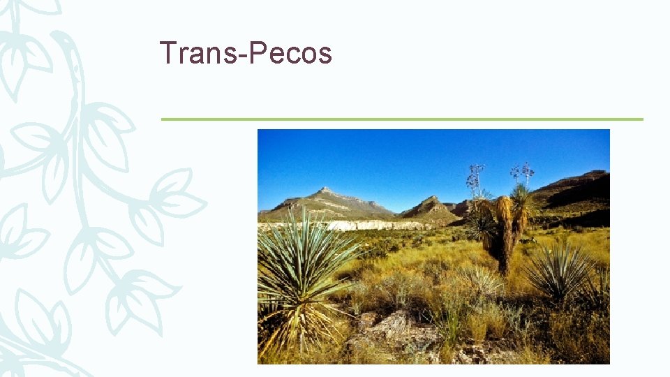 Trans-Pecos 