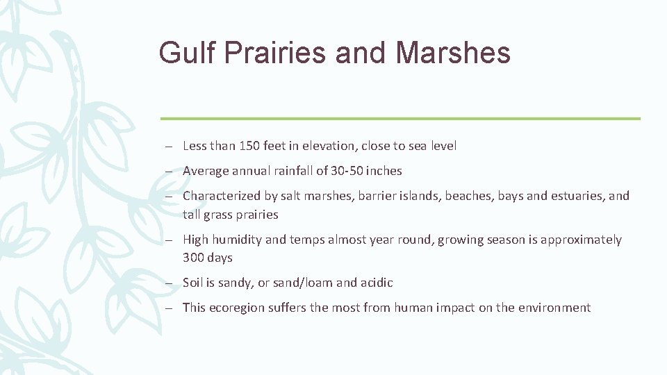 Gulf Prairies and Marshes – Less than 150 feet in elevation, close to sea