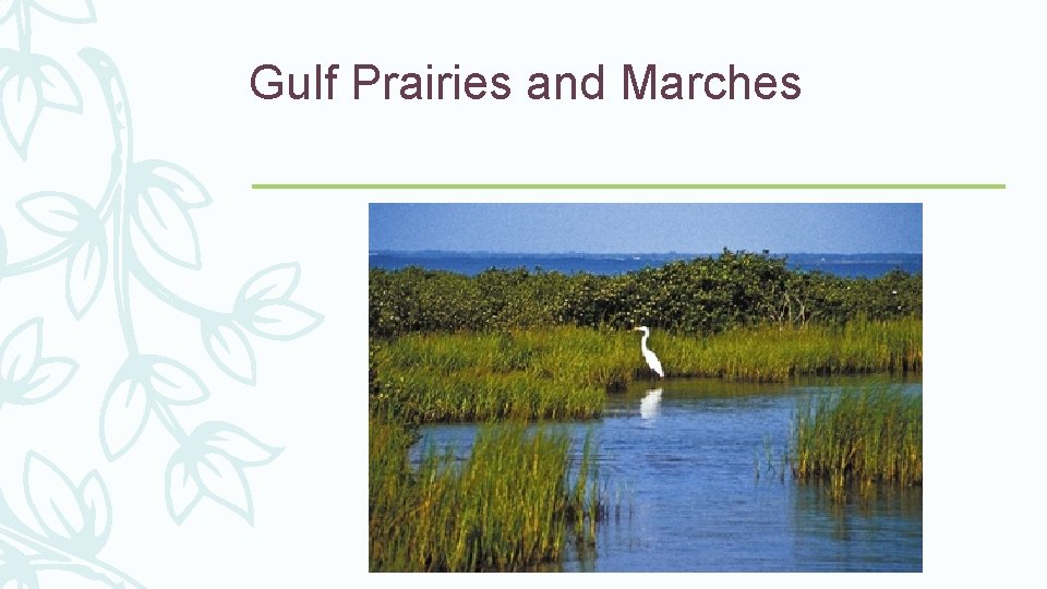 Gulf Prairies and Marches 