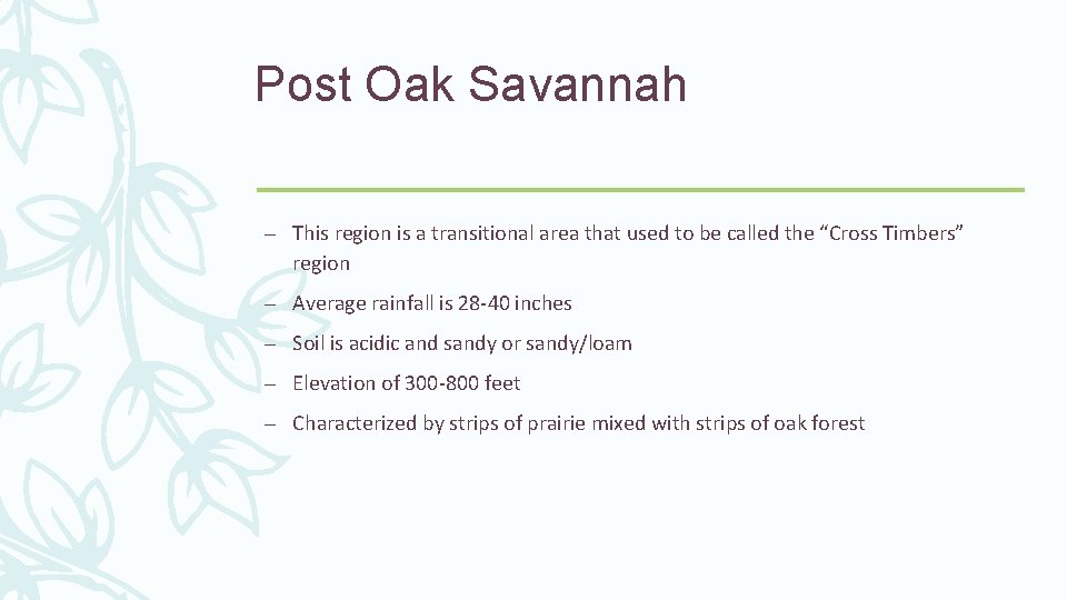 Post Oak Savannah – This region is a transitional area that used to be