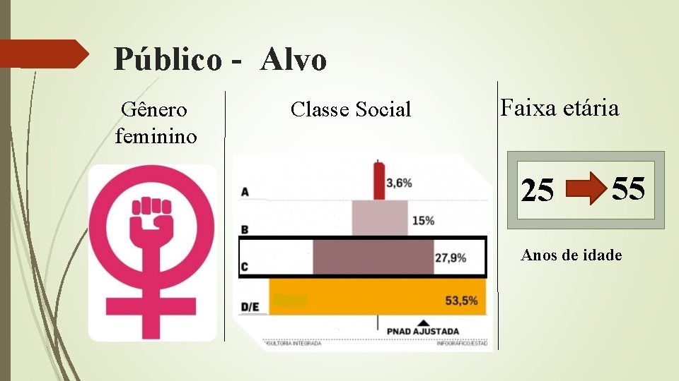 Público - Alvo Gênero feminino Classe Social Faixa etária 25 55 Anos de idade