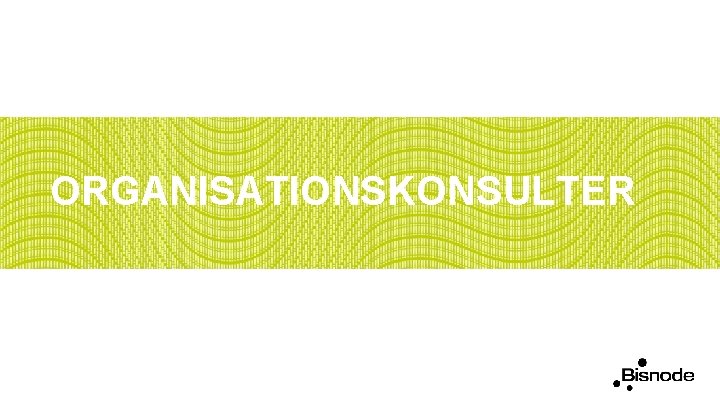 ORGANISATIONSKONSULTER 