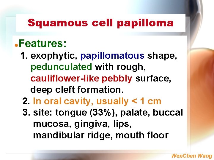Squamous cell papilloma l Features: 1. exophytic, papillomatous shape, pedunculated with rough, cauliflower-like pebbly