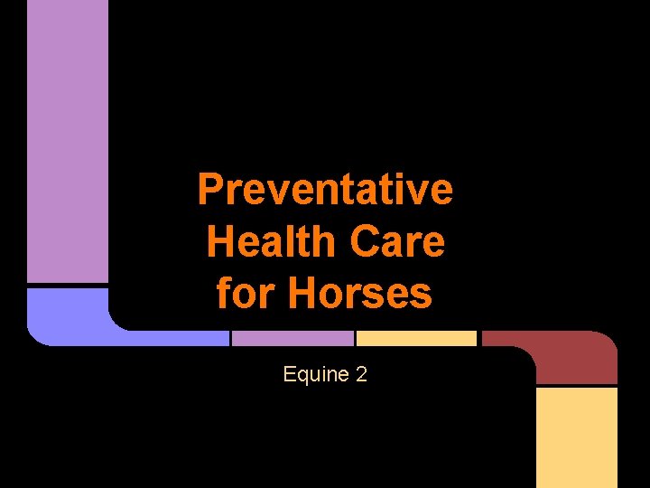 Preventative Health Care for Horses Equine 2 