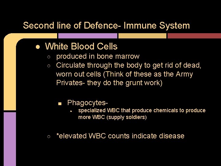 Second line of Defence- Immune System ● White Blood Cells ○ ○ produced in