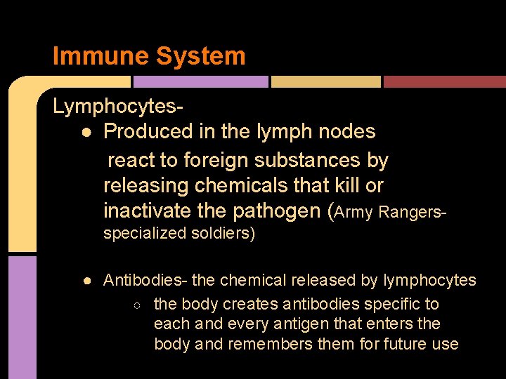 Immune System Lymphocytes● Produced in the lymph nodes react to foreign substances by releasing