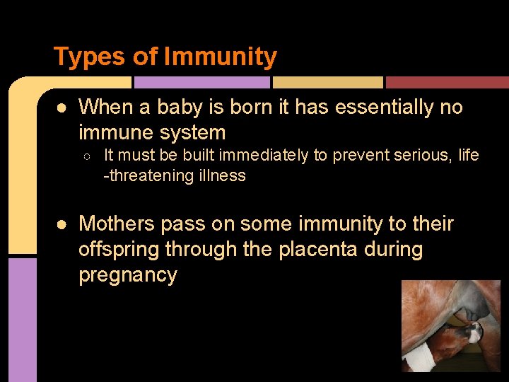 Types of Immunity ● When a baby is born it has essentially no immune