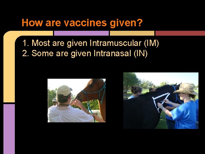 How are vaccines given? 1. Most are given Intramuscular (IM) 2. Some are given
