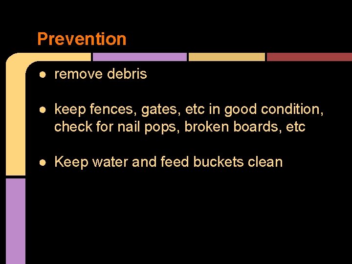 Prevention ● remove debris ● keep fences, gates, etc in good condition, check for