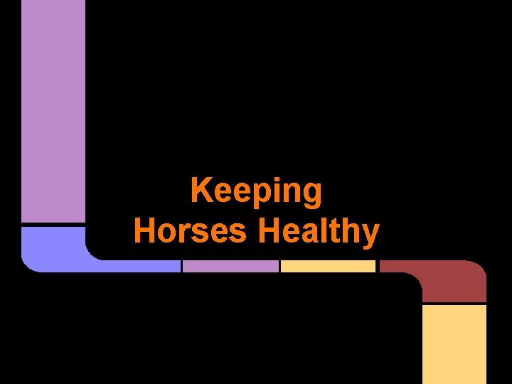 Keeping Horses Healthy 