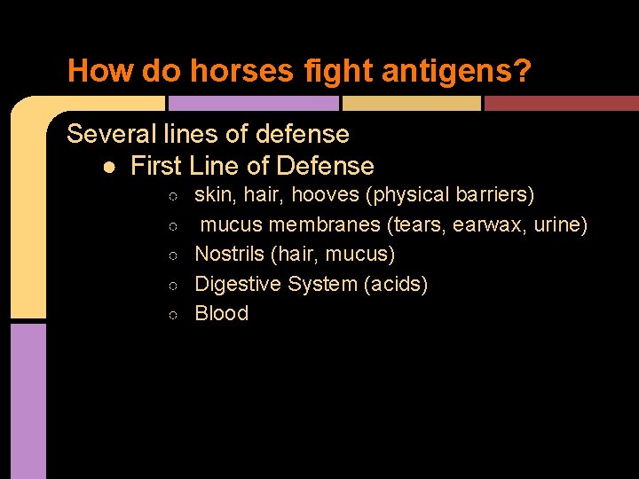 How do horses fight antigens? Several lines of defense ● First Line of Defense