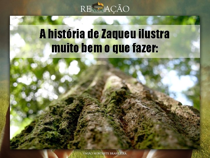 A história de Zaqueu ilustra muito bem o que fazer: 