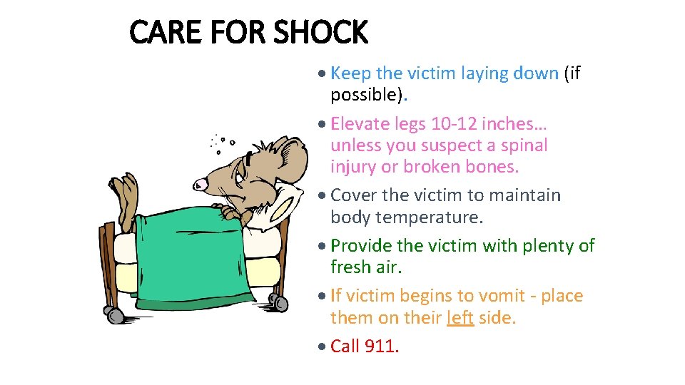 CARE FOR SHOCK · Keep the victim laying down (if possible). · Elevate legs