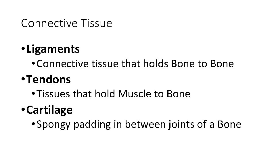 Connective Tissue • Ligaments • Connective tissue that holds Bone to Bone • Tendons