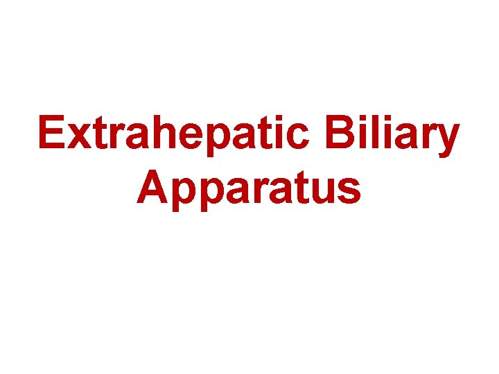 Extrahepatic Biliary Apparatus 