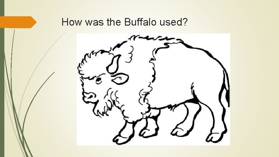 How was the Buffalo used? 