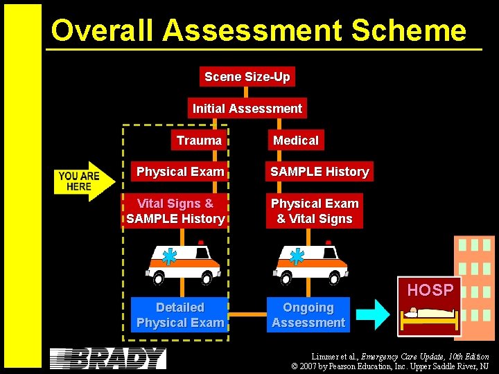 Overall Assessment Scheme Scene Size-Up Initial Assessment Trauma Physical Exam Vital Signs & SAMPLE