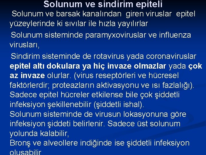 Solunum ve sindirim epiteli Solunum ve barsak kanalından giren viruslar epitel yüzeylerinde ki sıvılar