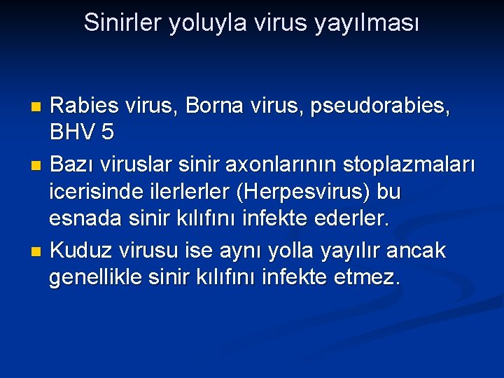 Sinirler yoluyla virus yayılması Rabies virus, Borna virus, pseudorabies, BHV 5 n Bazı viruslar