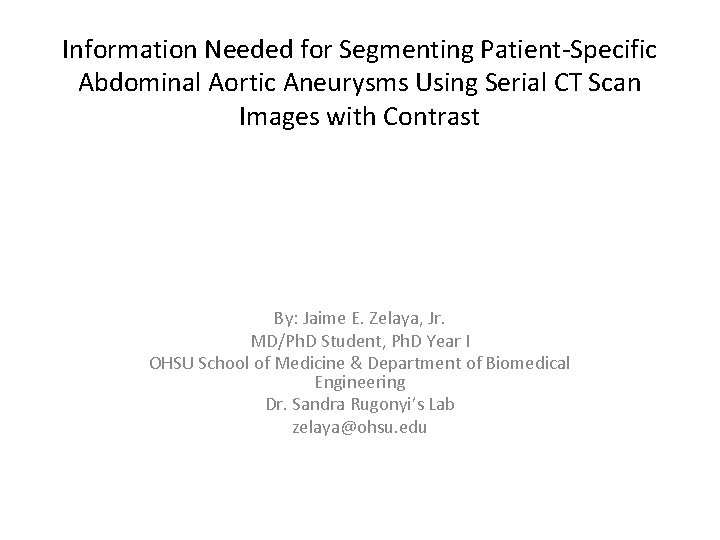 Information Needed for Segmenting Patient-Specific Abdominal Aortic Aneurysms Using Serial CT Scan Images with