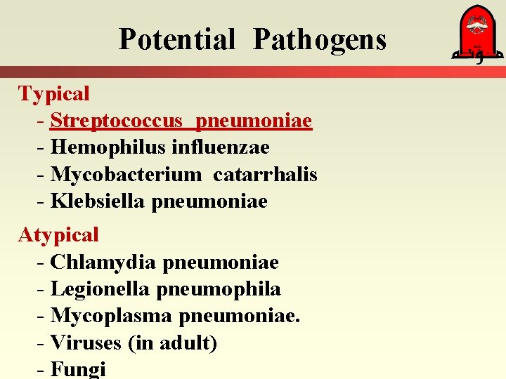 Potential Pathogens Typical - Streptococcus pneumoniae - Hemophilus influenzae - Mycobacterium catarrhalis - Klebsiella