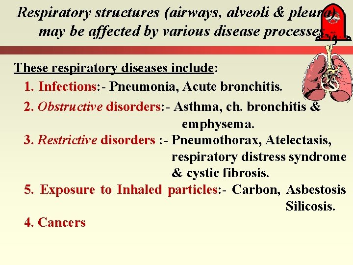 Respiratory structures (airways, alveoli & pleura) may be affected by various disease processes. These