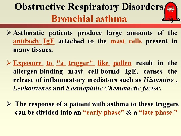 Obstructive Respiratory Disorders Bronchial asthma Ø Asthmatic patients produce large amounts of the antibody
