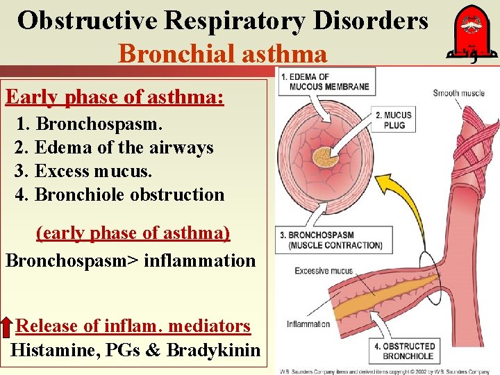 Obstructive Respiratory Disorders Bronchial asthma Early phase of asthma: 1. Bronchospasm. 2. Edema of