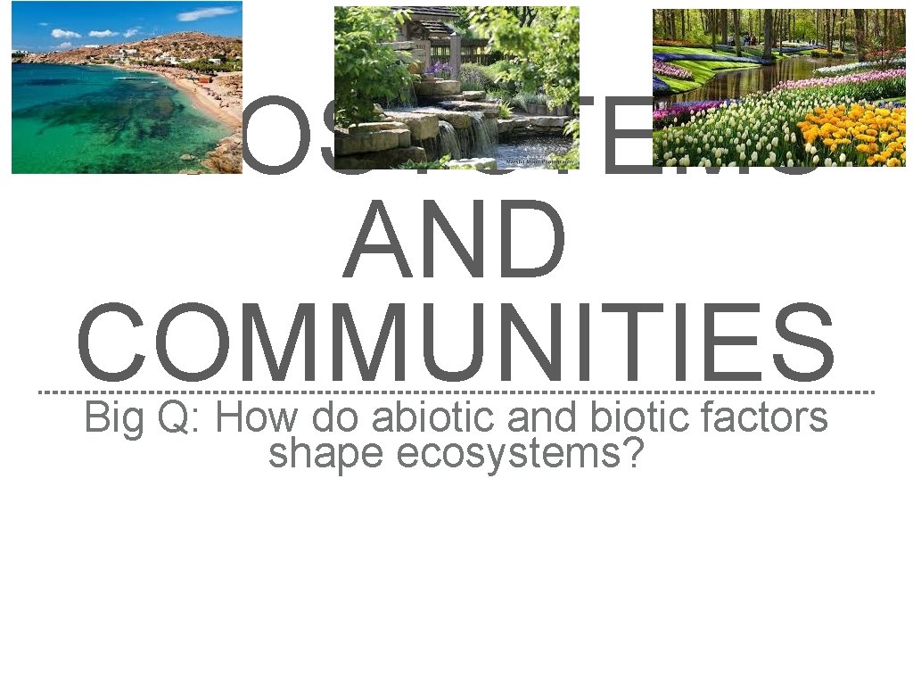 ECOSYSTEMS AND COMMUNITIES Big Q: How do abiotic and biotic factors shape ecosystems? 