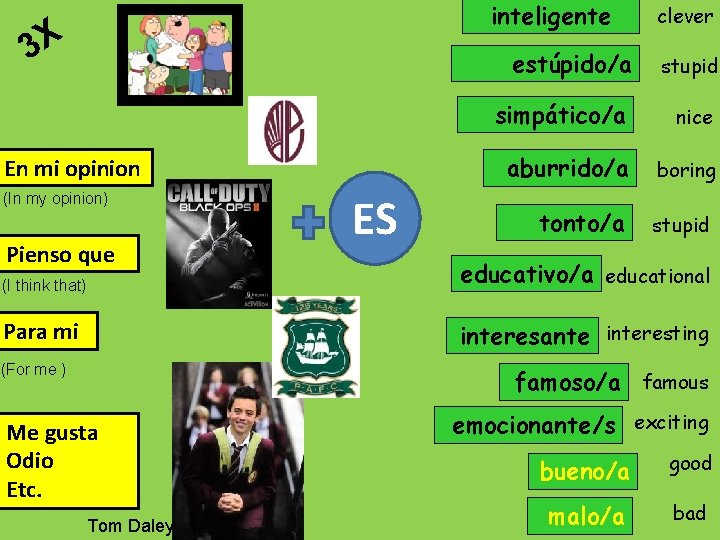 inteligente 3 X En mi opinion (In my opinion) Pienso que ES clever estúpido/a