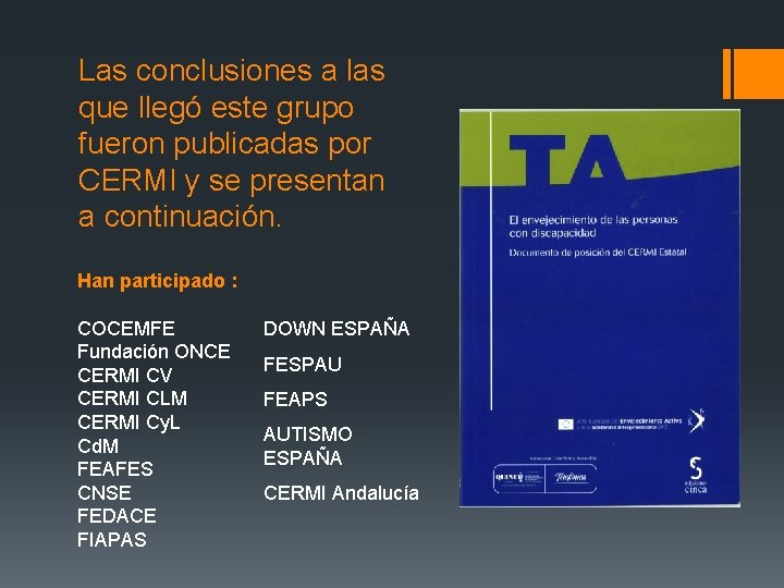 Las conclusiones a las que llegó este grupo fueron publicadas por CERMI y se