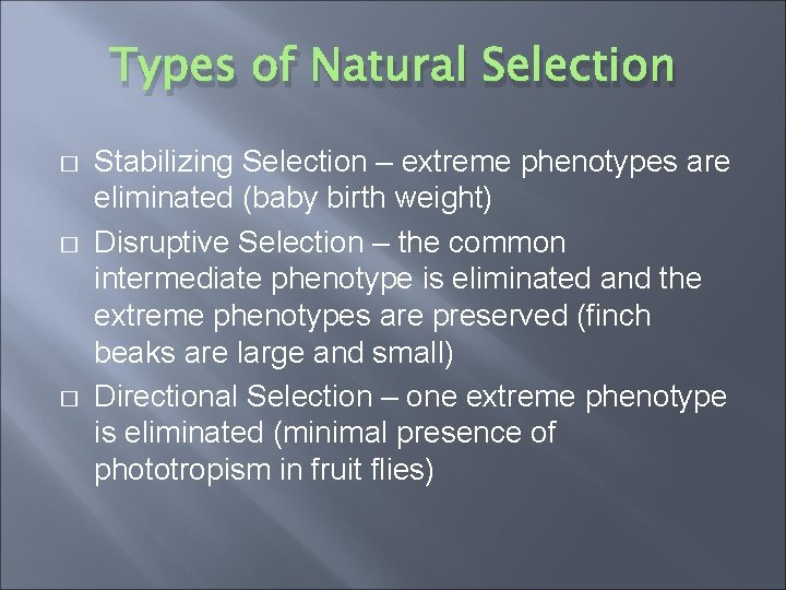 Types of Natural Selection � � � Stabilizing Selection – extreme phenotypes are eliminated