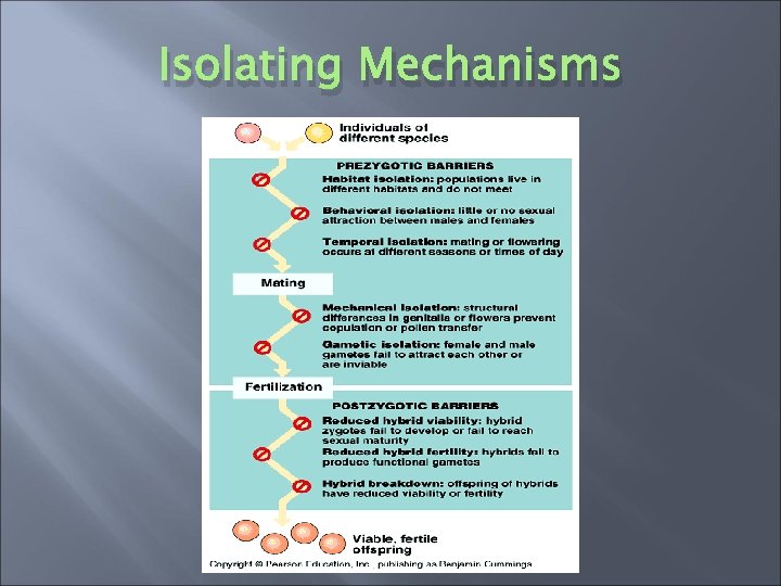 Isolating Mechanisms 