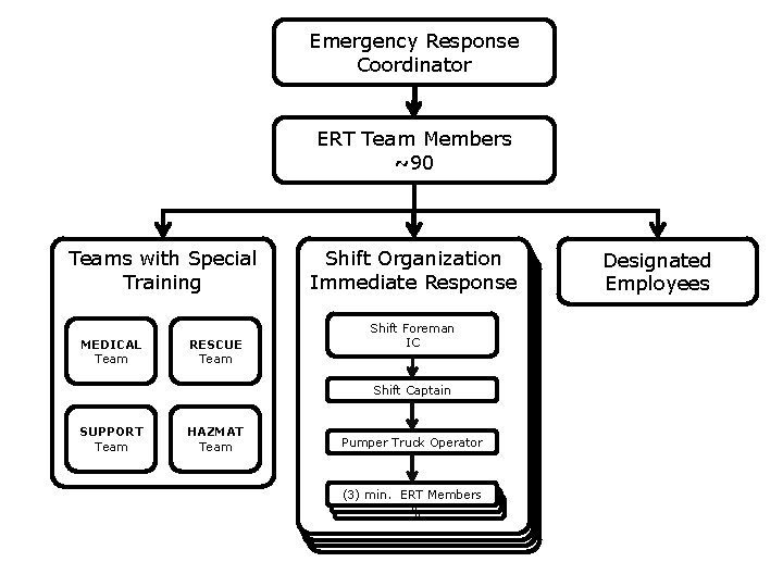 Emergency Response Coordinator ERT Team Members ~90 Teams with Special Training MEDICAL Team RESCUE