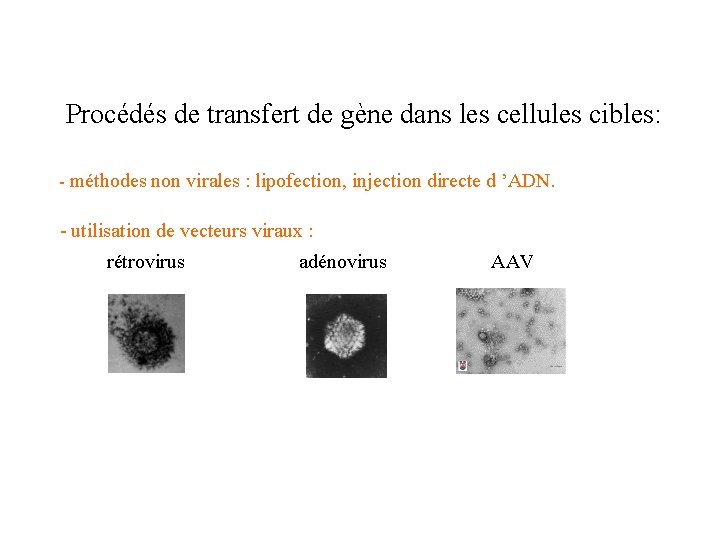 Procédés de transfert de gène dans les cellules cibles: - méthodes non virales :