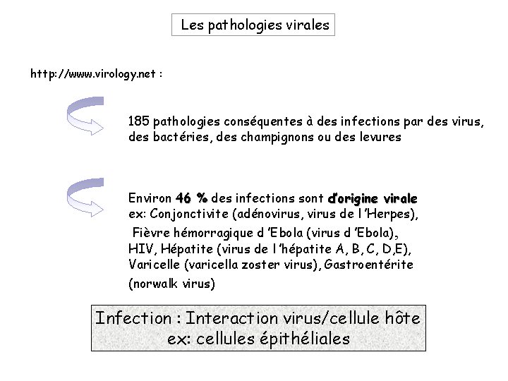 Les pathologies virales http: //www. virology. net : 185 pathologies conséquentes à des infections