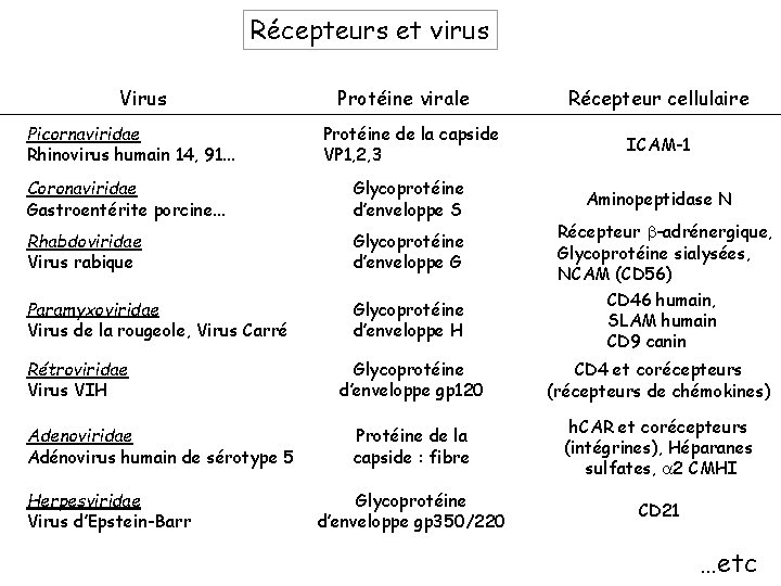 Récepteurs et virus Virus Protéine virale Récepteur cellulaire Picornaviridae Rhinovirus humain 14, 91. .