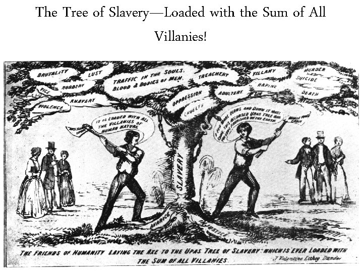 The Tree of Slavery—Loaded with the Sum of All Villanies! 