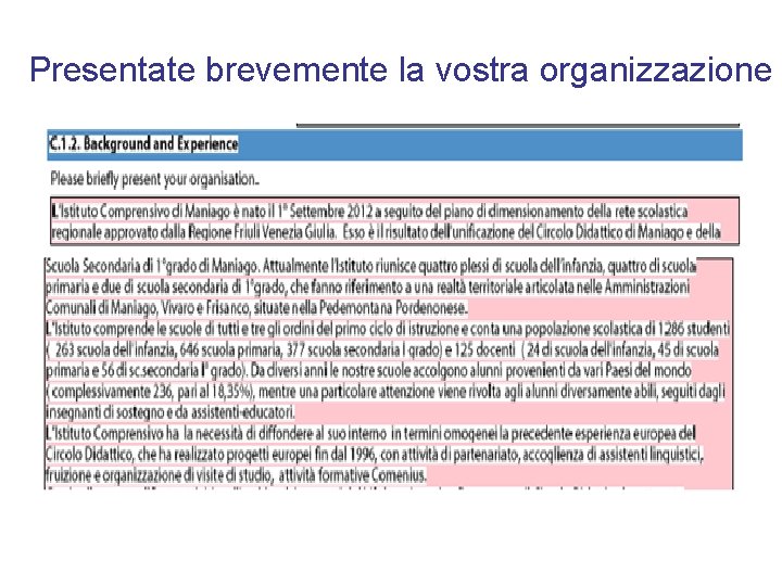 Presentate brevemente la vostra organizzazione 