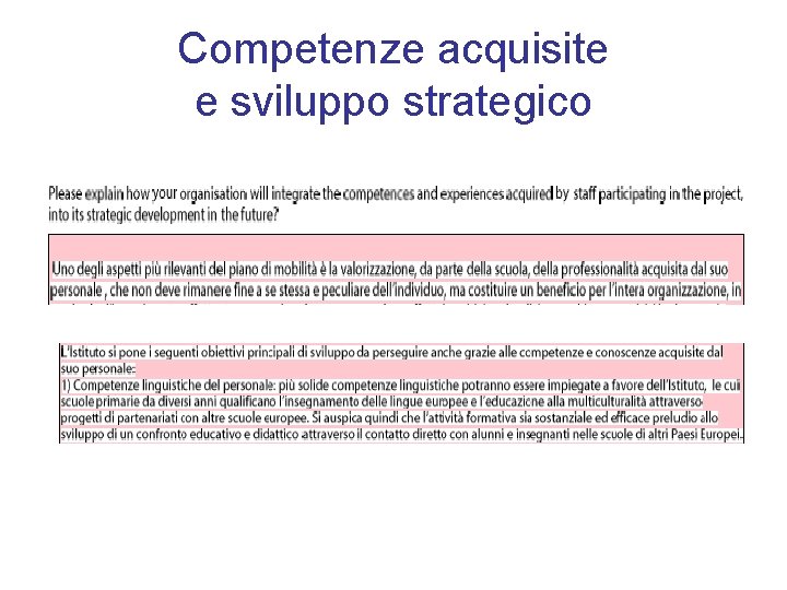 Competenze acquisite e sviluppo strategico 