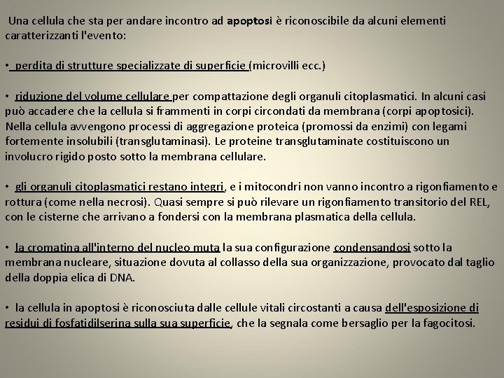 Una cellula che sta per andare incontro ad apoptosi è riconoscibile da alcuni elementi