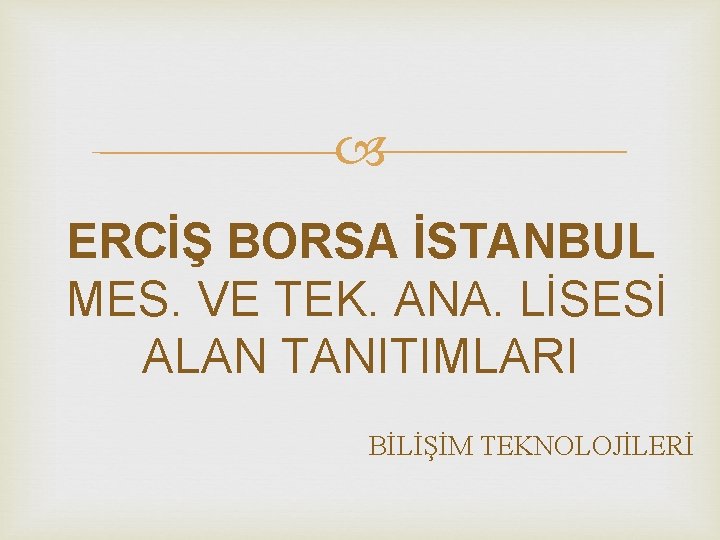  ERCİŞ BORSA İSTANBUL MES. VE TEK. ANA. LİSESİ ALAN TANITIMLARI BİLİŞİM TEKNOLOJİLERİ 